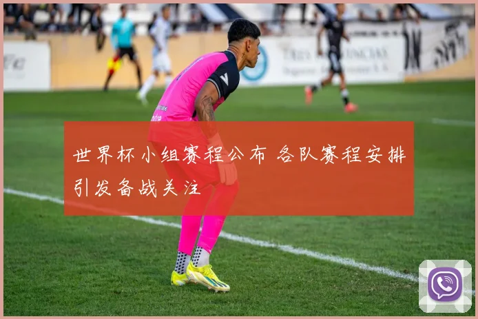 世界杯小组赛程公布 各队赛程安排引发备战关注