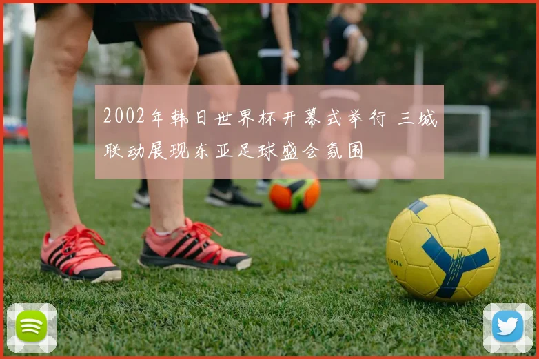 2002年韩日世界杯开幕式举行 三城联动展现东亚足球盛会氛围