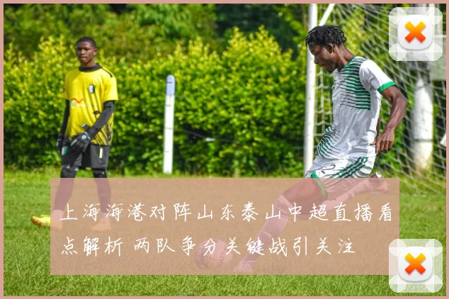 上海海港对阵山东泰山中超直播看点解析 两队争分关键战引关注