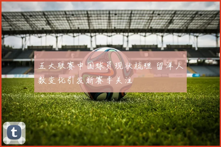 五大联赛中国球员现状梳理 留洋人数变化引发新赛季关注