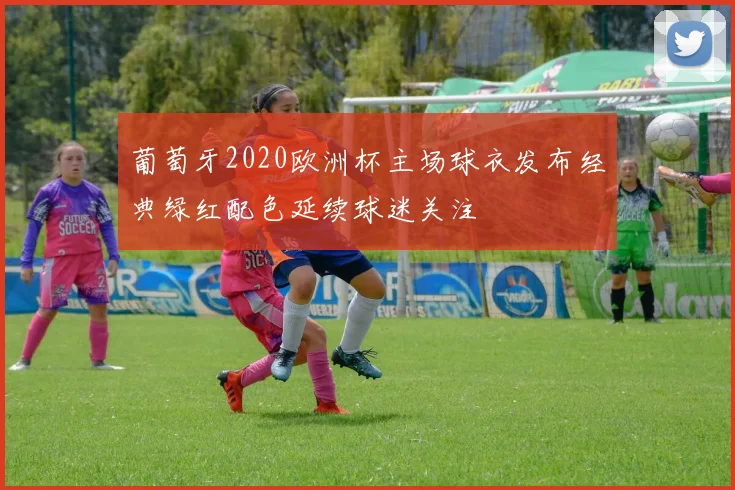 葡萄牙2020欧洲杯主场球衣发布经典绿红配色延续球迷关注