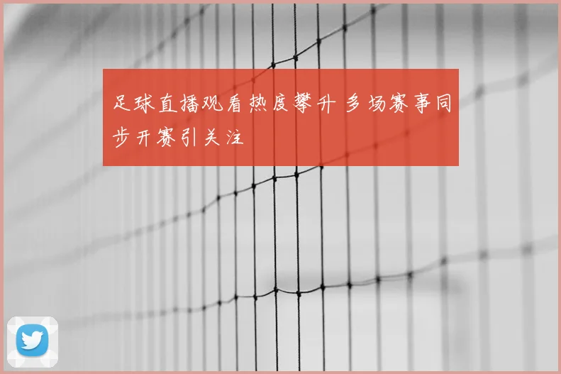 足球直播观看热度攀升 多场赛事同步开赛引关注
