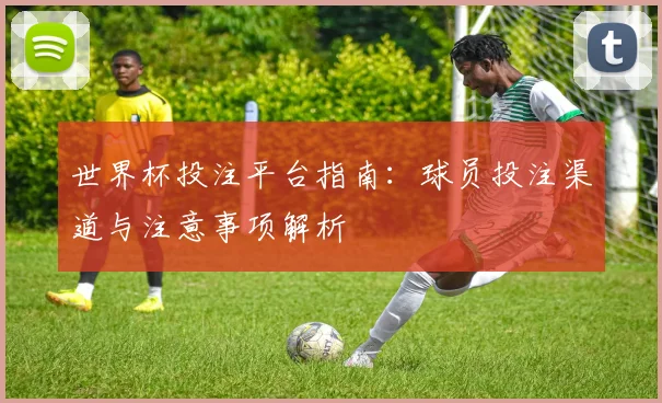 世界杯投注平台指南：球员投注渠道与注意事项解析