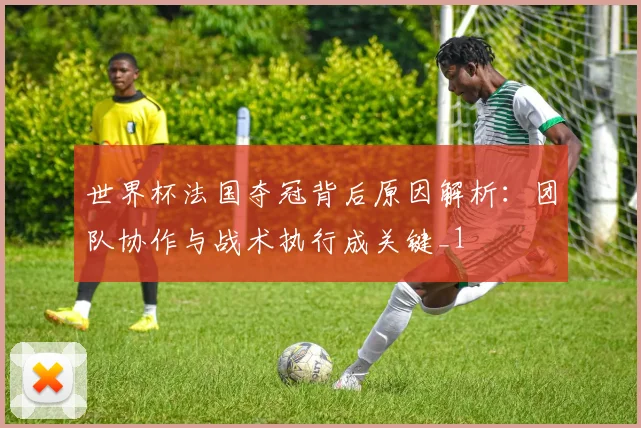 世界杯法国夺冠背后原因解析:团队协作与战术执行成关键_1
