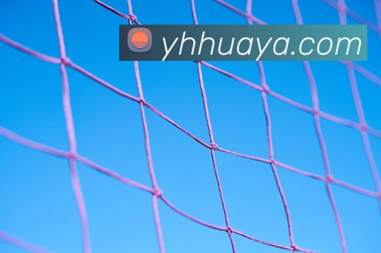 beat365唯一官方网站发展历程